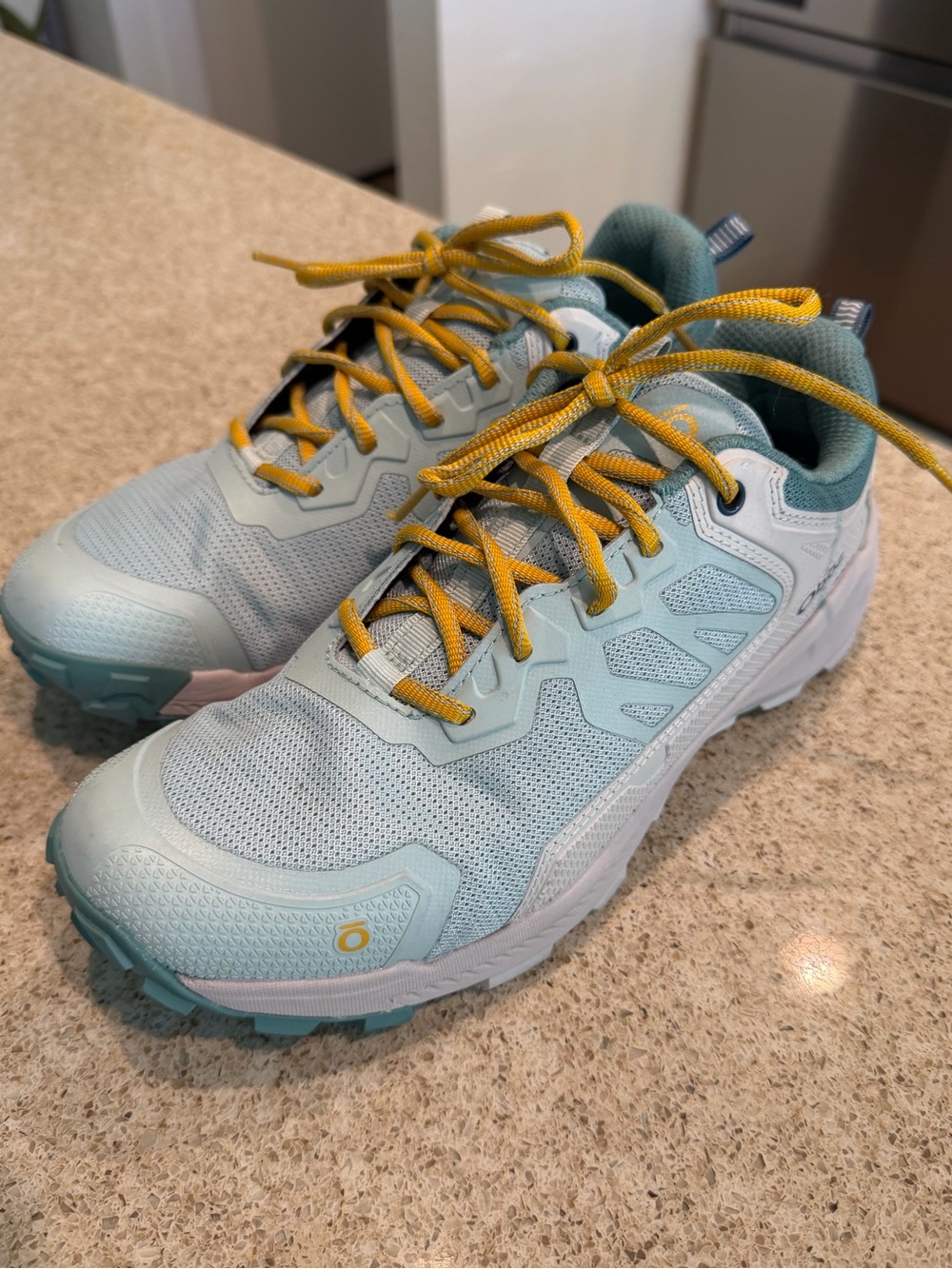 Oboz Katabatic Low B-DRY Women's Hiking Shoes